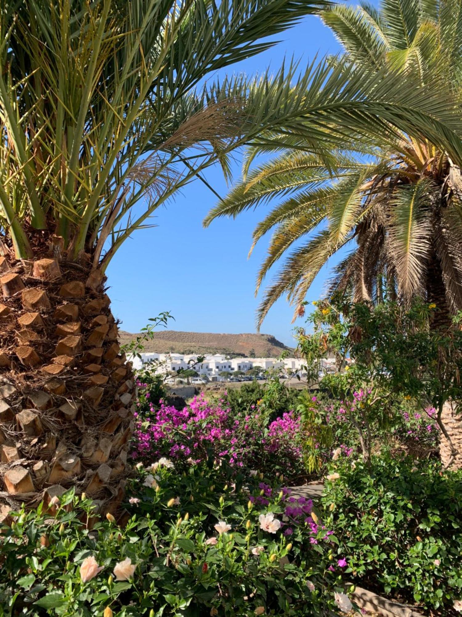 Casa Pepe Candelarias Holiday home *